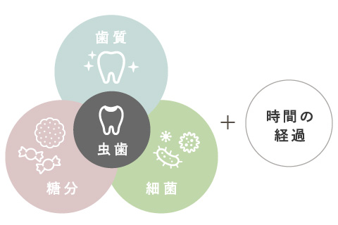 虫歯＝歯質・糖分・糖分＋時間の経過